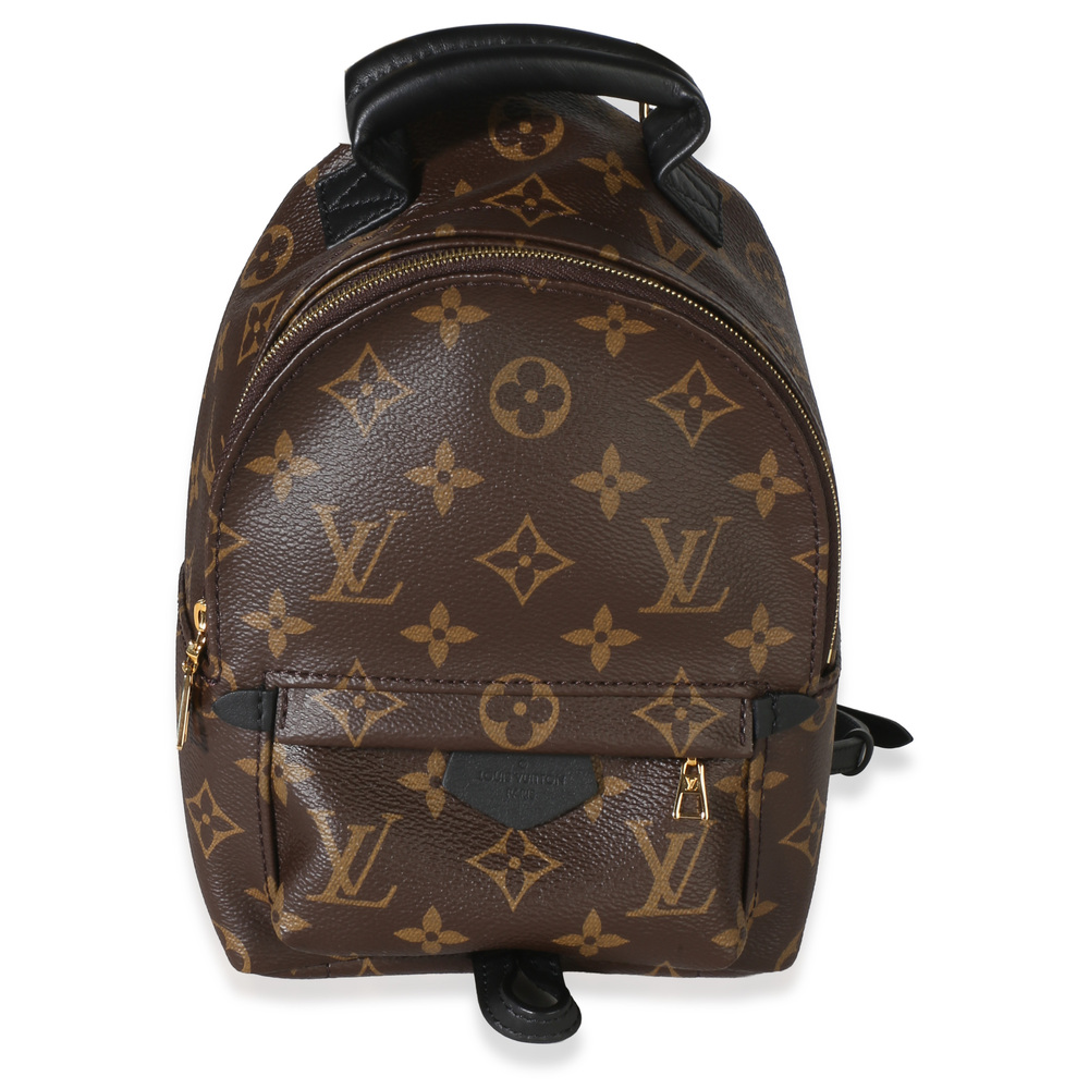Louis Vuitton Monogram Canvas Mini Palm Springs Backpack